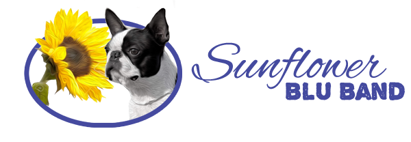 Allevamento Boston Terrier - SunFlowersBluBand - Toscana